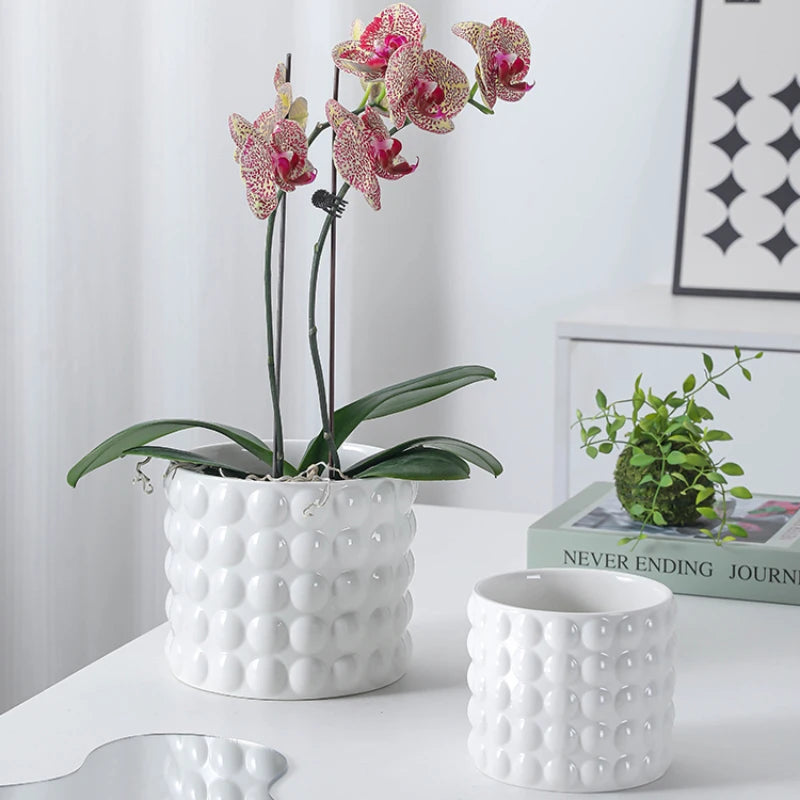 Ceramic Flowerpots European-style Indoor White Bubbles High Sense Small Potted Plants Special Ornaments for SucculentPhalaenopsi