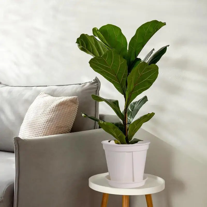 Plant Pots Indoor 3X Portable Indoor Planter With Drainage Thickened Potting Pots Plant Pot With Saucer Orchid Pot With Holes