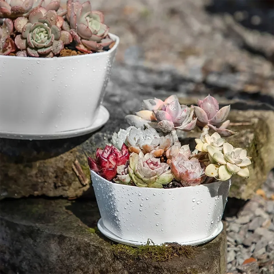 1pc-Simple Flower Pot Set Planter Succulent Plants Large Opening Bottom Tray Indoor Flowerpot Household Durable Holder