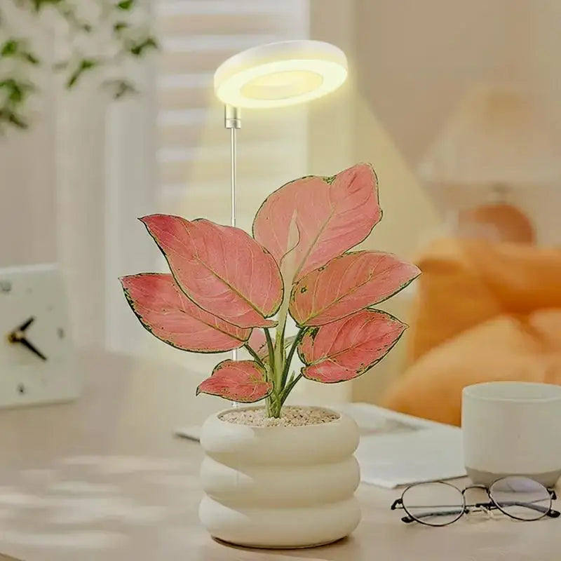 Plant Lights for Indoor Growing Sun Simulation Fill Lamp for Flower LED Full Spectrum Grow Lights for Indoor Plants with 360