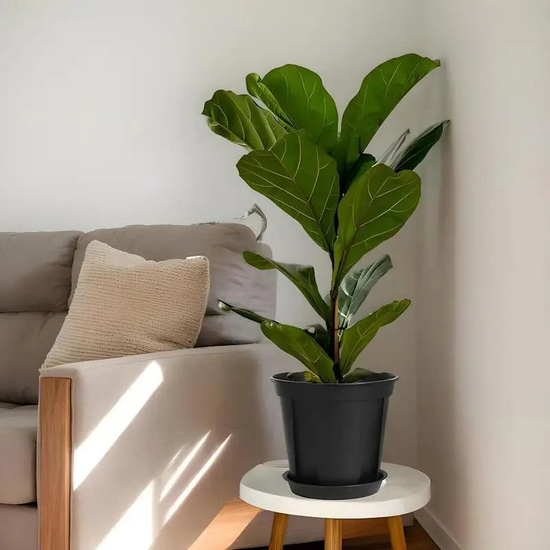 Plant Pots Indoor 3X Portable Indoor Planter With Drainage Thickened Potting Pots Plant Pot With Saucer Orchid Pot With Holes