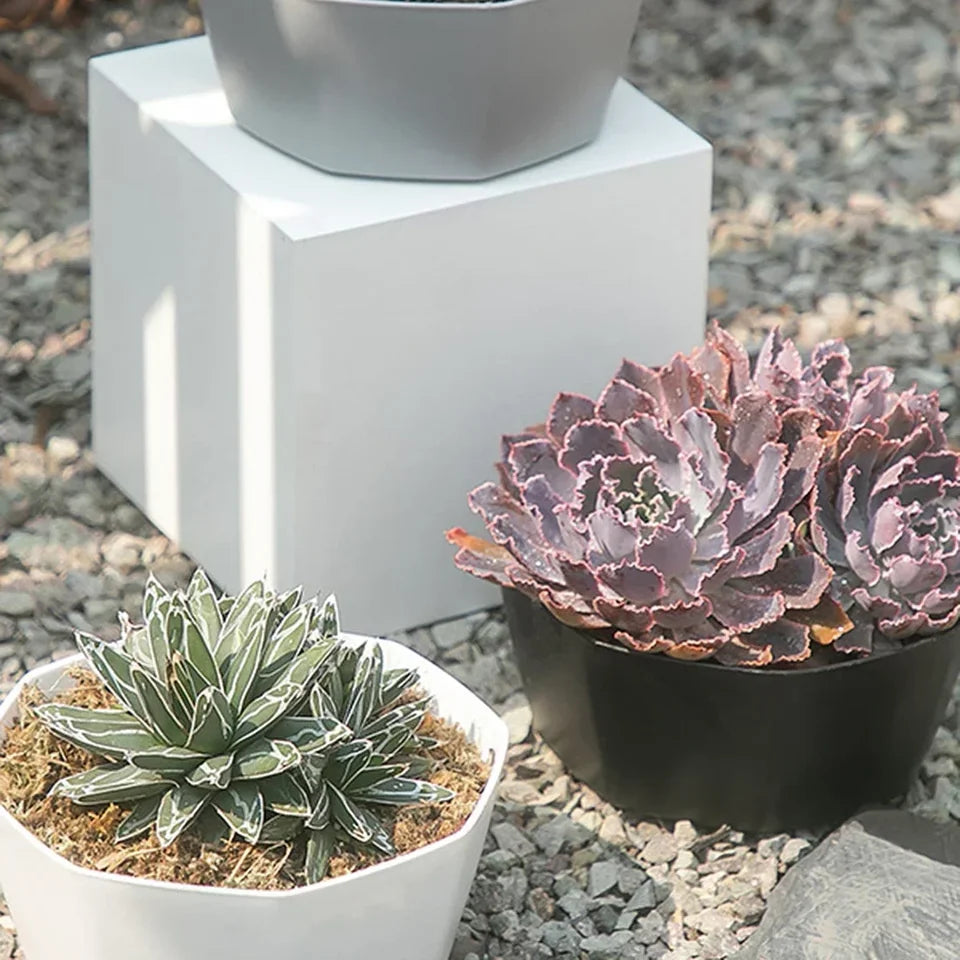 1pc-Simple Flower Pot Set Planter Succulent Plants Large Opening Bottom Tray Indoor Flowerpot Household Durable Holder